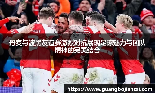 Bwin体育丹麦与波黑友谊赛激烈对抗展现足球魅力与团队精神的完美结合